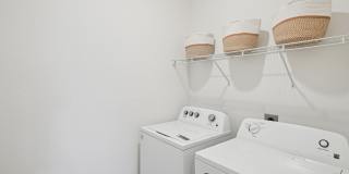 Millennium Gallery 35