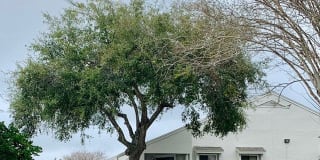 Lakeshore at Altamonte Springs Gallery 10