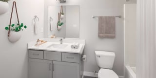 Avana Evergreen Gallery 12