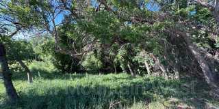 985 Horsley Circle Gallery 12