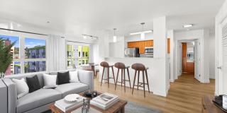 Dexter Lake Union Gallery 2