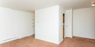 29408 DequindreUnit 203 Gallery 4