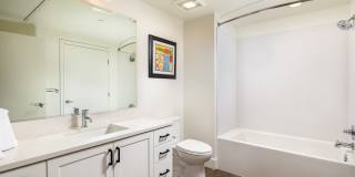 Azara Gallery 55