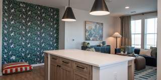 Novel River District Gallery 21