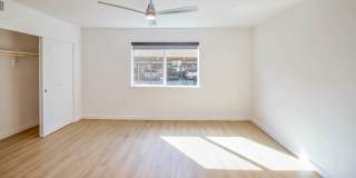 Lorien Ivy Apartments Gallery 68