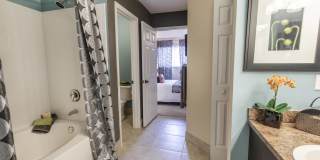 The Palms of Doral Gallery 37