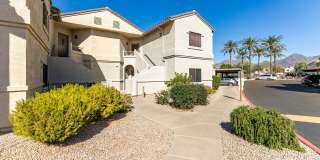 9555 E RAINTREE Drive 9555 E RAINTREE Drive Gallery 1