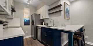 505 Collection Gallery 8