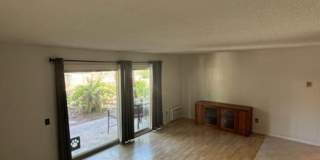 1 Bed 1 Bath Close to Lake Murray Gallery 29