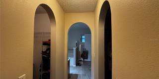8 BOTANY Lane Gallery 8