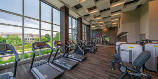 The Emerson Gallery 21