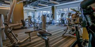 The Benjamin Gallery 35