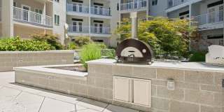 Novi at Concord Gallery 63