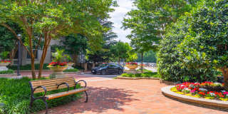 Wisconsin Place Gallery 55