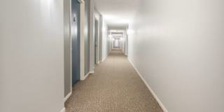 The Wellington Apartments Gallery 15