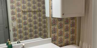 3312 Avensong Village Circle Gallery 7