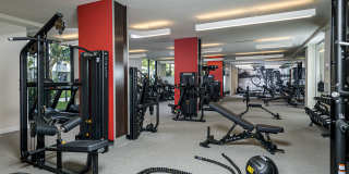 Arabelle Riverwalk Gallery 6