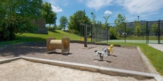 Stonehaven Gallery 14