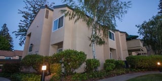 Juniper Apartments Gallery 19