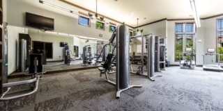2800 S Lakeline Blvd, #1102 Gallery 4