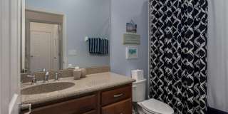 26414 Doverstone St lot: 157 Gallery 13