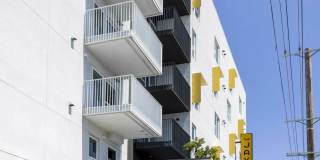 The Jayne Gallery 15