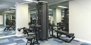 Radnor Crossing Gallery 17