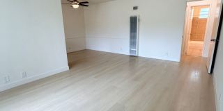 #705 Gallery 11