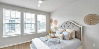 RISE Sereno Gallery 77