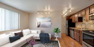 Park Lane Park Lane Gallery 1