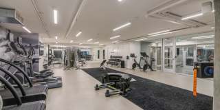 The Landing Gallery 31