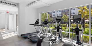 Alta Wren Gallery 49