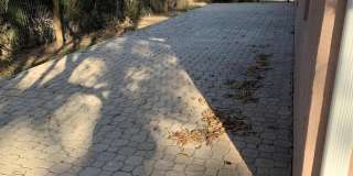 16701 86th Street N unit: One Gallery 18