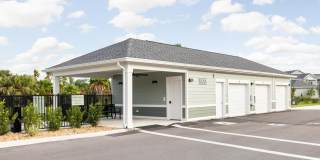 Palm Grove Gallery 46