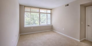 Virginia Square Gallery 52