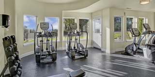 Regency Woods Apartment Homes Gallery 16