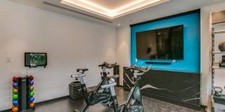 The Montrose at Buffalo Bayou Gallery 6