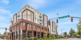 Ellis at Bel-Red Gallery 38