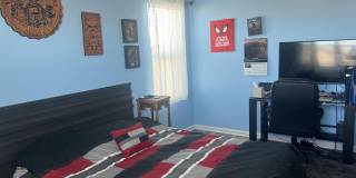 4061 Dragonfly Drive Gallery 29