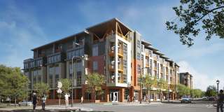 Centro NoDa Gallery 41