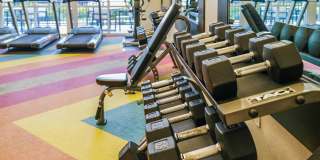 Linden on the GreeneWay Gallery 31