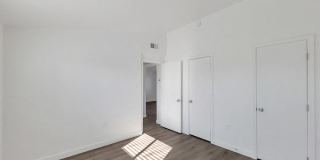 Desert Green Gallery 5