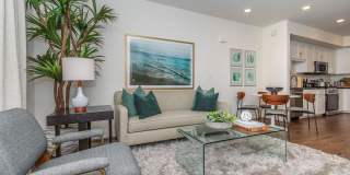 Vineyards Gallery 112