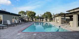 Tierra Palms Gallery 76