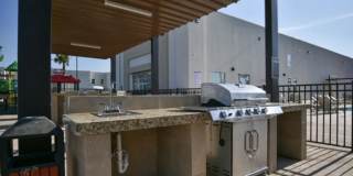 The Tree Apartments Gallery 21