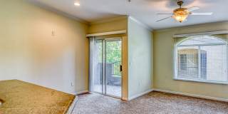 Borgata Gallery 25