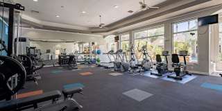 Palazzo Townhomes Gallery 41