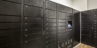 The Monterey by Windsor Gallery 40