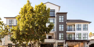 The Hadley Apartments Gallery 1