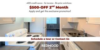 Summer Woods Gallery 2